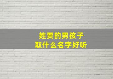 姓贾的男孩子取什么名字好听