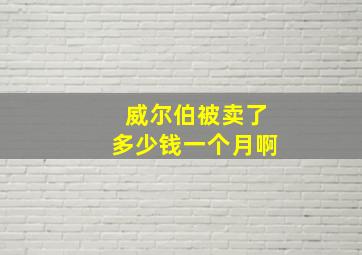 威尔伯被卖了多少钱一个月啊