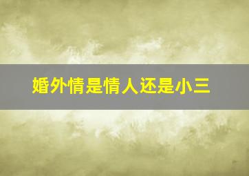 婚外情是情人还是小三