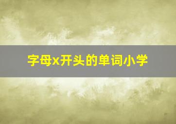 字母x开头的单词小学