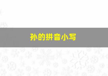 孙的拼音小写