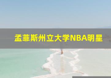 孟菲斯州立大学NBA明星