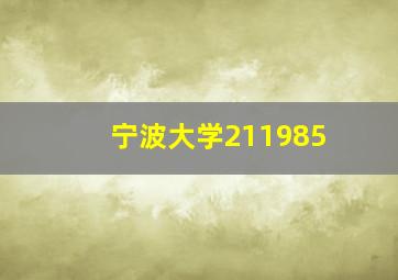 宁波大学211985