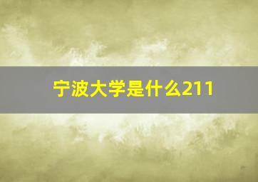 宁波大学是什么211