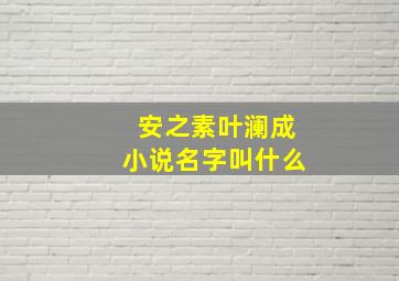 安之素叶澜成小说名字叫什么