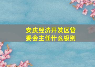 安庆经济开发区管委会主任什么级别