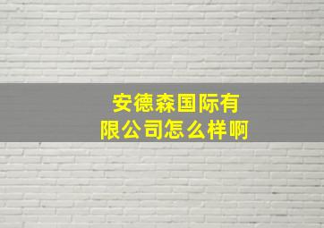 安德森国际有限公司怎么样啊