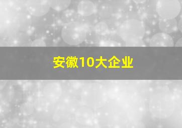 安徽10大企业