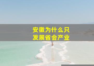 安徽为什么只发展省会产业