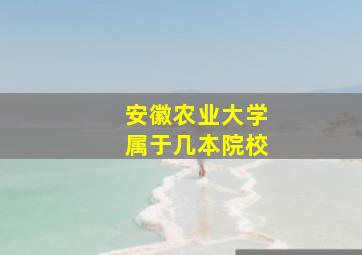 安徽农业大学属于几本院校