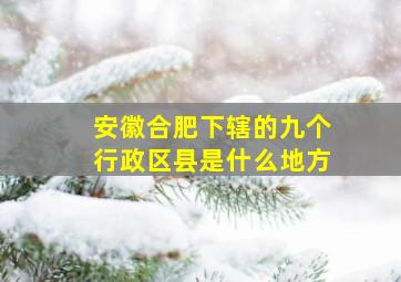 安徽合肥下辖的九个行政区县是什么地方