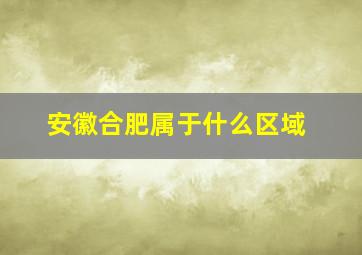 安徽合肥属于什么区域