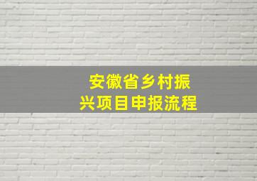 安徽省乡村振兴项目申报流程