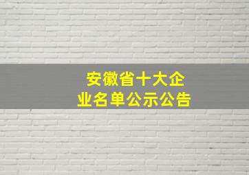 安徽省十大企业名单公示公告