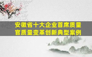 安徽省十大企业首席质量官质量变革创新典型案例