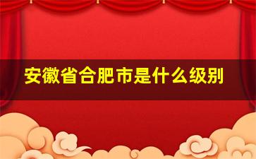 安徽省合肥市是什么级别