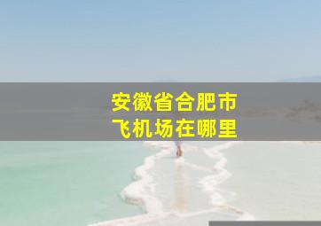 安徽省合肥市飞机场在哪里