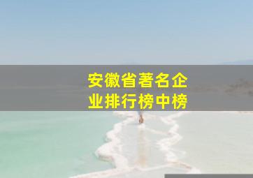 安徽省著名企业排行榜中榜