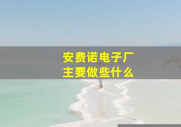 安费诺电子厂主要做些什么