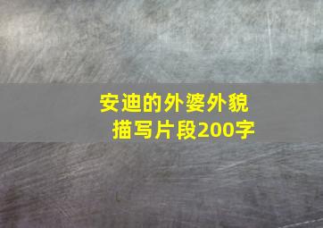 安迪的外婆外貌描写片段200字