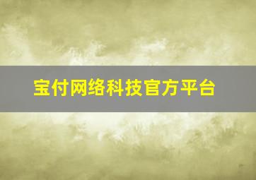 宝付网络科技官方平台