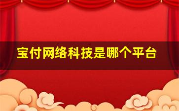 宝付网络科技是哪个平台