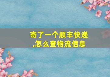 寄了一个顺丰快递,怎么查物流信息