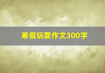 寒假玩耍作文300字