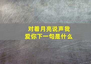 对着月亮说声我爱你下一句是什么