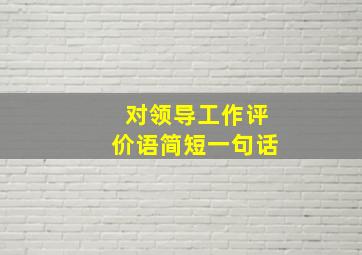 对领导工作评价语简短一句话