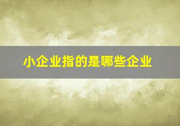 小企业指的是哪些企业