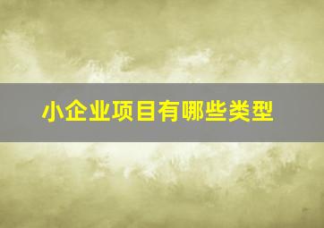 小企业项目有哪些类型