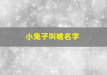 小兔子叫啥名字