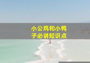 小公鸡和小鸭子必讲知识点