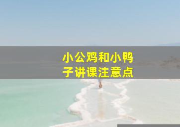 小公鸡和小鸭子讲课注意点