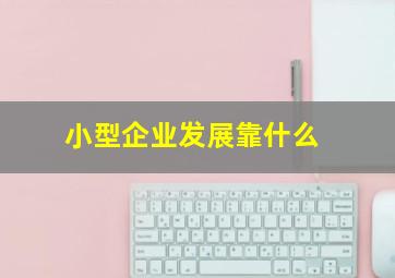 小型企业发展靠什么