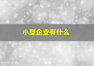 小型企业有什么