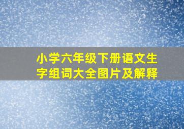 小学六年级下册语文生字组词大全图片及解释