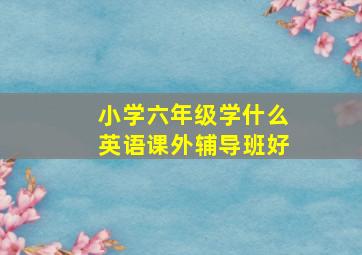 小学六年级学什么英语课外辅导班好