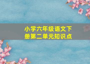 小学六年级语文下册第二单元知识点