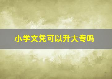 小学文凭可以升大专吗