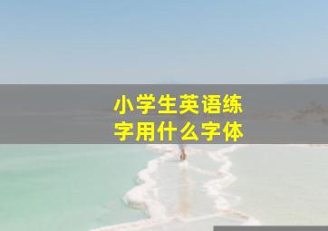 小学生英语练字用什么字体