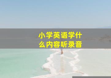 小学英语学什么内容听录音