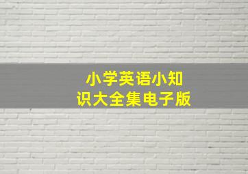 小学英语小知识大全集电子版