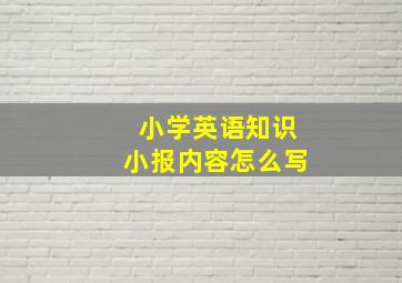 小学英语知识小报内容怎么写