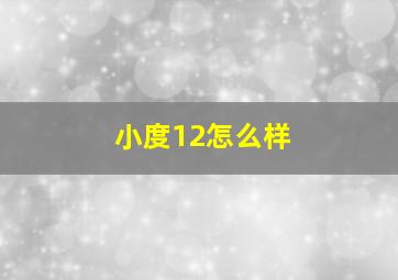 小度12怎么样