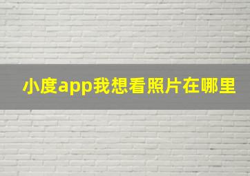 小度app我想看照片在哪里