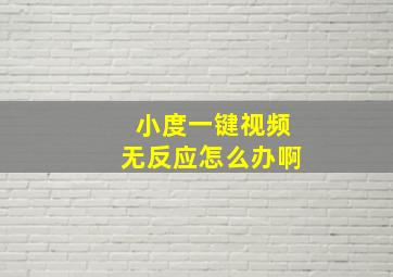 小度一键视频无反应怎么办啊