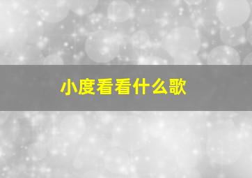 小度看看什么歌