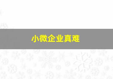 小微企业真难